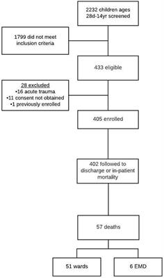 Clinical Presentation and Outcomes among Children with Sepsis Presenting to a Public Tertiary Hospital in Tanzania